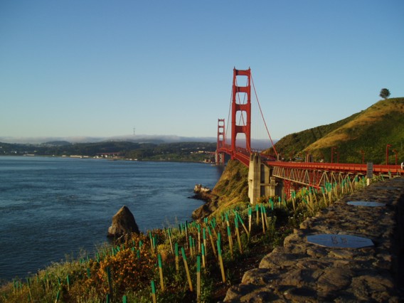 Golden Gate Bridge