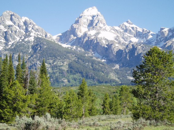 Grand Tetons 