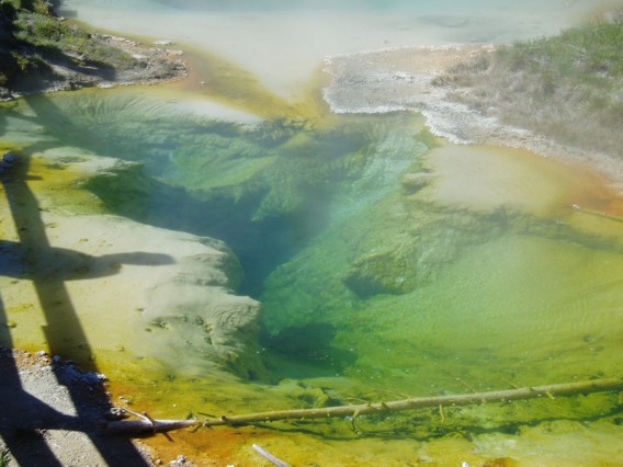 West Thumb Geyser Basin