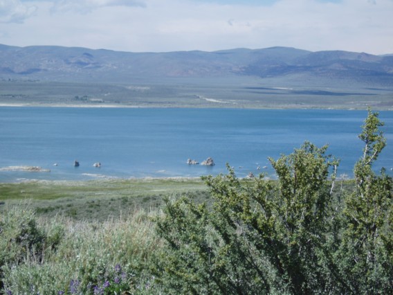 Mono Lake Tufa State Natural Reserve, CA